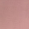 Shannon Fabrics Minky Fabric | 90" Wide (Sold in 1/4 yard)